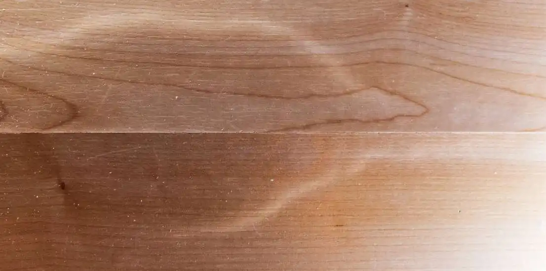 Termite Inspection in Thousand Oaks California