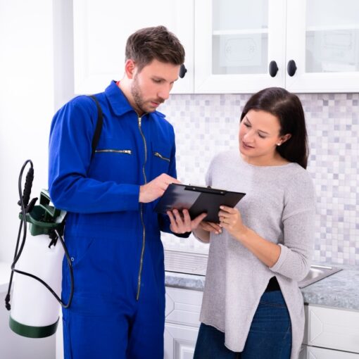 Pest Control Sun City West | Keeping Your Home Pest-Free and Comfortable