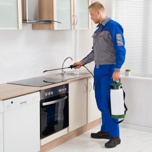 Pest Extermination Services – A Guide to Top-Tier Pest Extermination Services